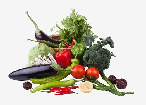 平衡飲食的關鍵 聚焦重點食物與科學餐飲服務