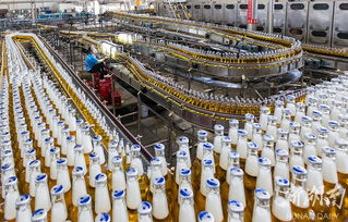 華潤雪花啤酒湘西工廠 旺季生產(chǎn)“火力全開”，推動區(qū)域產(chǎn)業(yè)升級